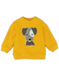 Giallo