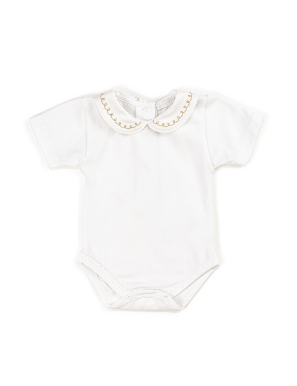 Coccode Body Coccode