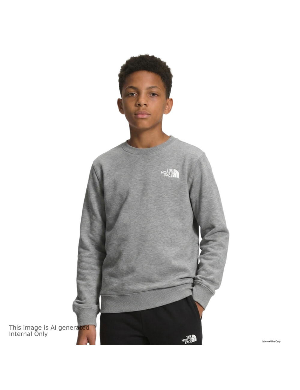 The North Face Felpa The North Face